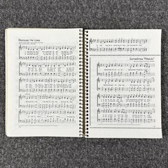100 Contemporary Sacred Favorites Vol 1 & 2 (1977-1980) Bill Gaither Honeytree