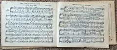 White&rsquo;s School For The Reed Organ Music / HC book 1875 / G.A. White & C.D. Blake