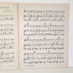 Vintage 1939 Tales from the Vienna Woods Sheet Music Joseph Gallicchio Cover