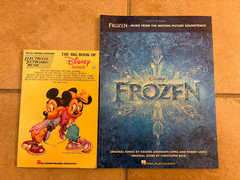 Lot of 11 Hal Leonard Music Bks~ Rodgers & Hart Musical Anthology+Disney+Frozen+