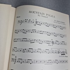 Mountain Polka Orchestra Arrangement Piano Guitar Drums Bass Cello Trombone