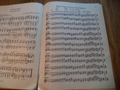 Book for Older Beginners An Instruction Book for Piano 1926 by John M. Williams