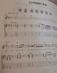 Warrant – Cherry Pie – Guitar Tab Book Tablature Sheet Music Songbook