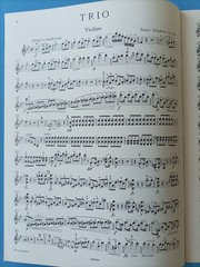 Schubert Piano Trios Op. 99 & Op. 100 Parts for Piano, Violin and Cello