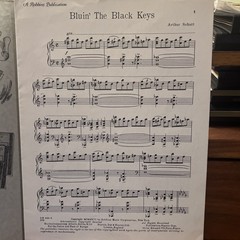 Novelty Piano Solo BLUIN’ THE BLACK KEYS Arthur Schutt 1926 ROBBINS Rag Jazz
