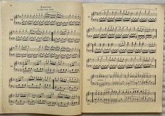 Vintage Schirmer’s Library Vol. 146 Czerny & Vol. 316 Duvernoy – 1893 & 95