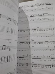 Slash Guitar Play Along Vol. 143 Hal Leonard Guitar Instruction Book