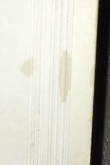 Lot (READ): 14 CCM/Praise/Church Music Songbooks – Piano Solo, Organ Solo, Vocal