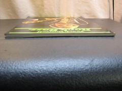 Teach Yourself Rock Bass by David C. Gross published by Amsco 61 pages