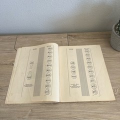 Vintage 1951 Hohner Diatonic Accordion Instruction Book C Irving Valentine