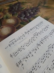 Mauro Giuliani 25 Etudes For Classical GuitarRare Book,Zen-On Series Jap Edition