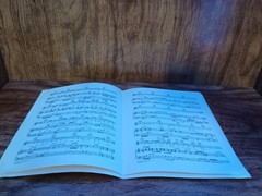 Theme From Mahogany Diana Ross Sheet Music English Vintage Pop Ballad