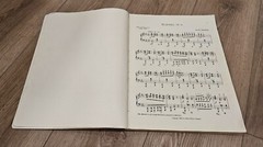 1901 Modern Piano Music Oliver Ditson Company Boston MA Edited by Heinrich Kiehl