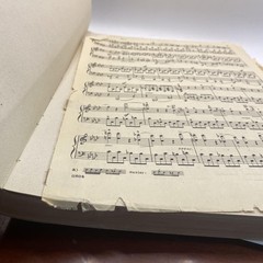 Vintage Theodore Presser Beethoven Sonatas Volume Two Piano Sheet Music Yellow