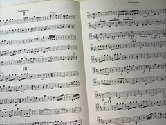 Joseph Haydn Sheet Music Piano Trio No. 20 in D Major Violin Violincello Diletto