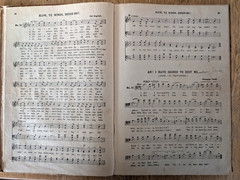 Lot of Traditional, Pioneer, Historic Folk Music Songbooks Regional, Americana
