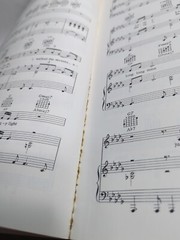 Neil Diamond Beautiful Noise Tablature Book