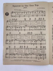 Vintage Sheet Music Sparrow In the Tree Top by Guy Mitchell 1951 PA-11