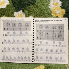 Vintage Jazz Guitar Rhythm and Background Chords Record Demo 1973 Warren Nunes