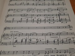 His Eye is on the Sparrow Familiar Hymns for Solo Voice & Organ Hugh Alexander