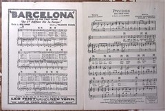 1926 PRECIOUS FOX TROT SONG UKULELE RAYMOND B EGAN LEO FEIST SHEET MUSIC Z3000