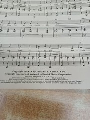 Song Hits of the Roaring Twenties 20&rsquo;s Sheet Music Book 80 Pages by Remick Music
