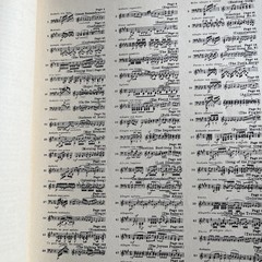 (7) Schirmer’s Library Of Musical Classics SHEET MUSIC Books PIANO Various 1939