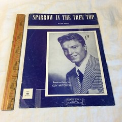 Sparrow in The Tree Top Bob Merrill Sheet Music 1951 Vintage