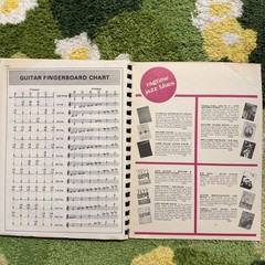 Vintage Jazz Guitar Rhythm and Background Chords Record Demo 1973 Warren Nunes