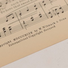 Chauncey Olcott My Wild Irish Rose Piano Voice Sheet Music 1899 M Witmark & Sons