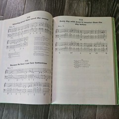Sing : Young Life Choruses Music : Piano Score & Words, Guitar Chords 1992 Book