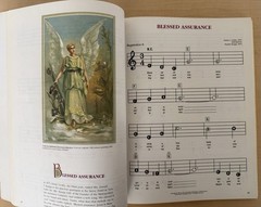 THE NEW ILLUSTRATED FAMILY HYMN BOOK PIANO/VOCAL MUSIC BOOK
