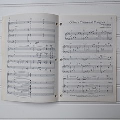 LOT OF 15 Southern Gospel Music Songbooks Homeland Presents Choral SATB 10 Songs