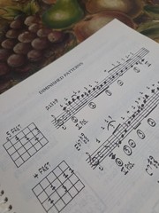 Vincent Bredice Jazz Guitar Lines Rare Book,1981 Edition 142 Pages Spiral