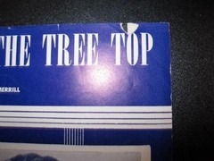 Sparrow In The Tree Top Sheet Music Vintage 1951 Guy Mitchell Bob Merrill (O)