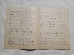 1904 Sheet Music  » I Wants To Pick A Vone With You » Rare Professional Copy