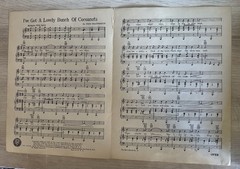 Antique Framed Sheet music