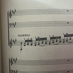 Mauro Giuliani Serenata Op. 9 Classical Guitar Violin sheet Music -HTF 45 Pages