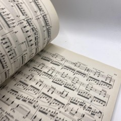 Vintage Theodore Presser Beethoven Sonatas Volume Two Piano Sheet Music Yellow