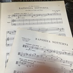 Rapsodia Notturna for Viola and Piano Karol Rathaus Boosey and Hawkes