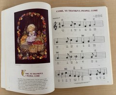 THE NEW ILLUSTRATED FAMILY HYMN BOOK PIANO/VOCAL MUSIC BOOK