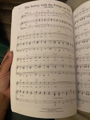 The Songs Of Richard Rodgers *songbook *sheet music *High vocals *vocal library