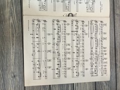Vintage 1935 « Outside Of You » Sheet Music from Broadway Gondolier Dick Powell M