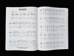 Beginning Solo Guitar: Pop/Rock Classics: Songbook