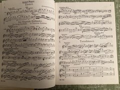 Clarinet Excerpts from Standard Orchestral Repertoire – Complete Set (4 Books)