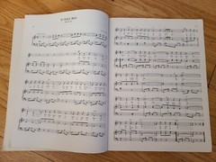 Italy In Song Marcel Frank Piano Vocal Sheet Music Book