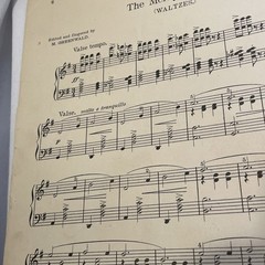 1908 The Merry Widow Waltz Piano Sheet Music Franz Lehar Century Edition 1310