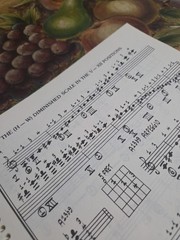 Vincent Bredice Jazz Guitar Lines Rare Book,1981 Edition 142 Pages Spiral