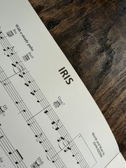 Goo Goo Dolls Iris Sheet Music 1998 City of Angels Piano Vocal Guitar PVG