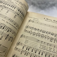 Vintage Theodore Presser Favorite Songs Of The People Vocal Songbook 1927 USA